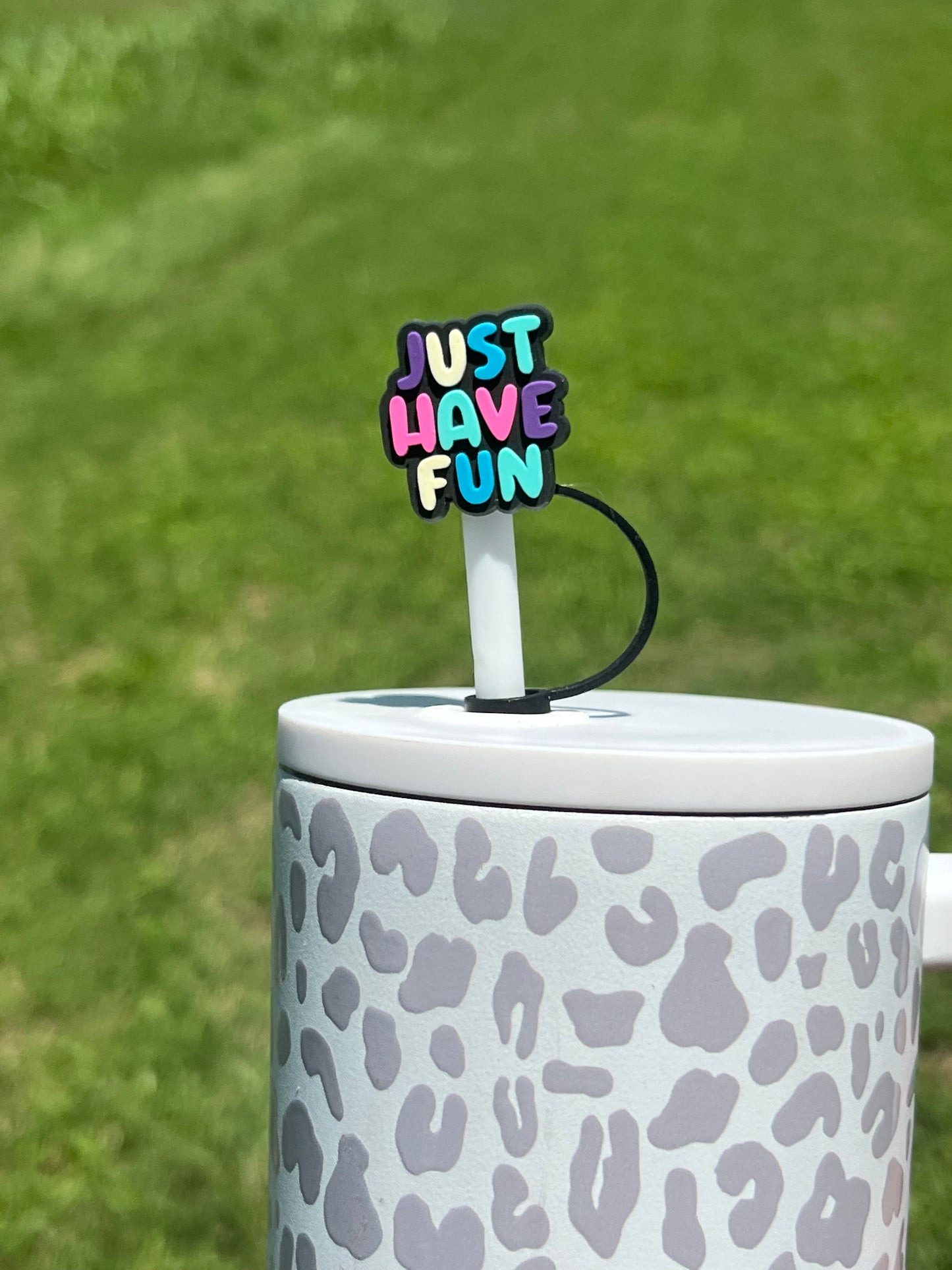 Straw Topper - Just Have Fun