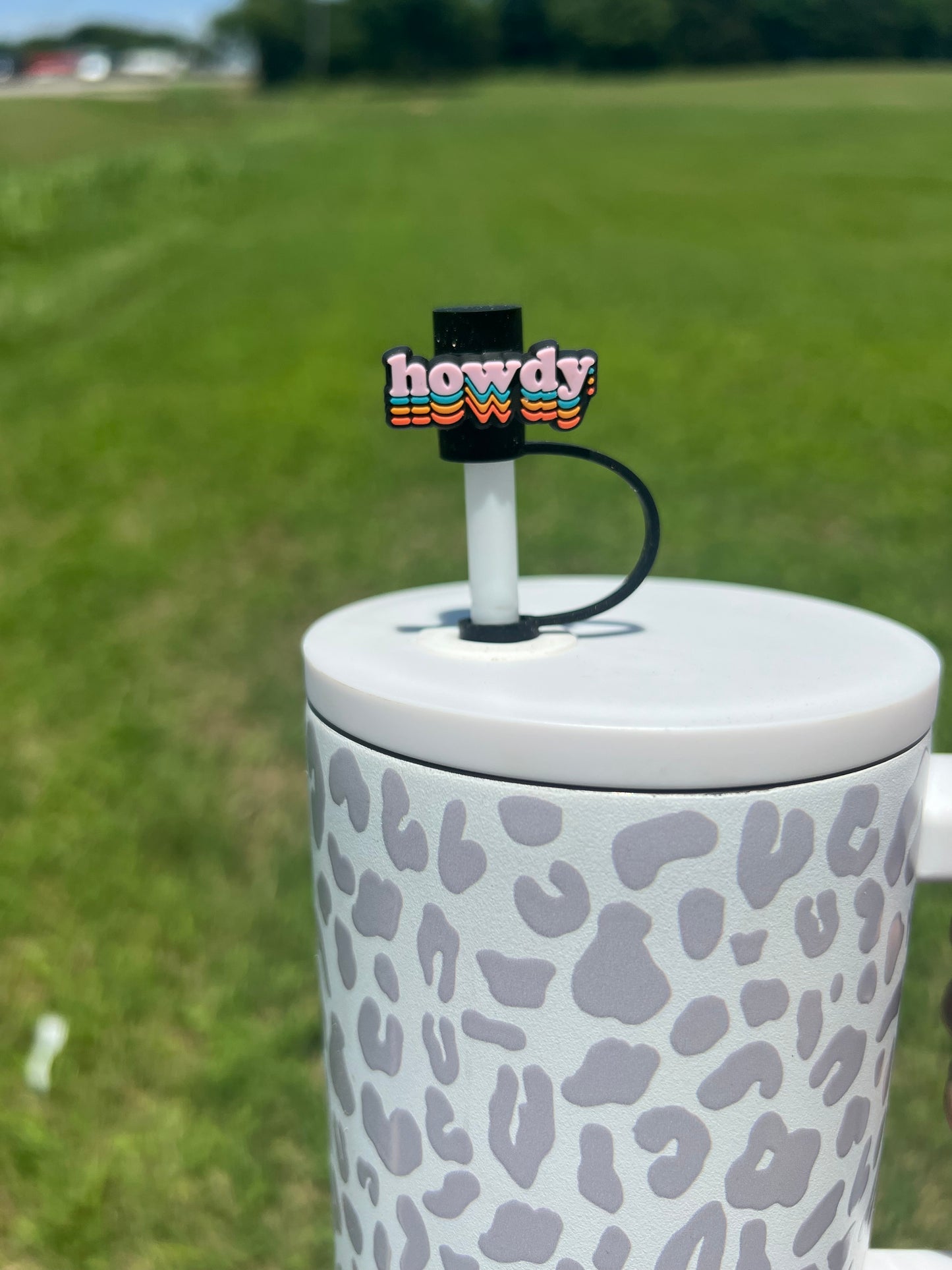 Straw Topper - Howdy
