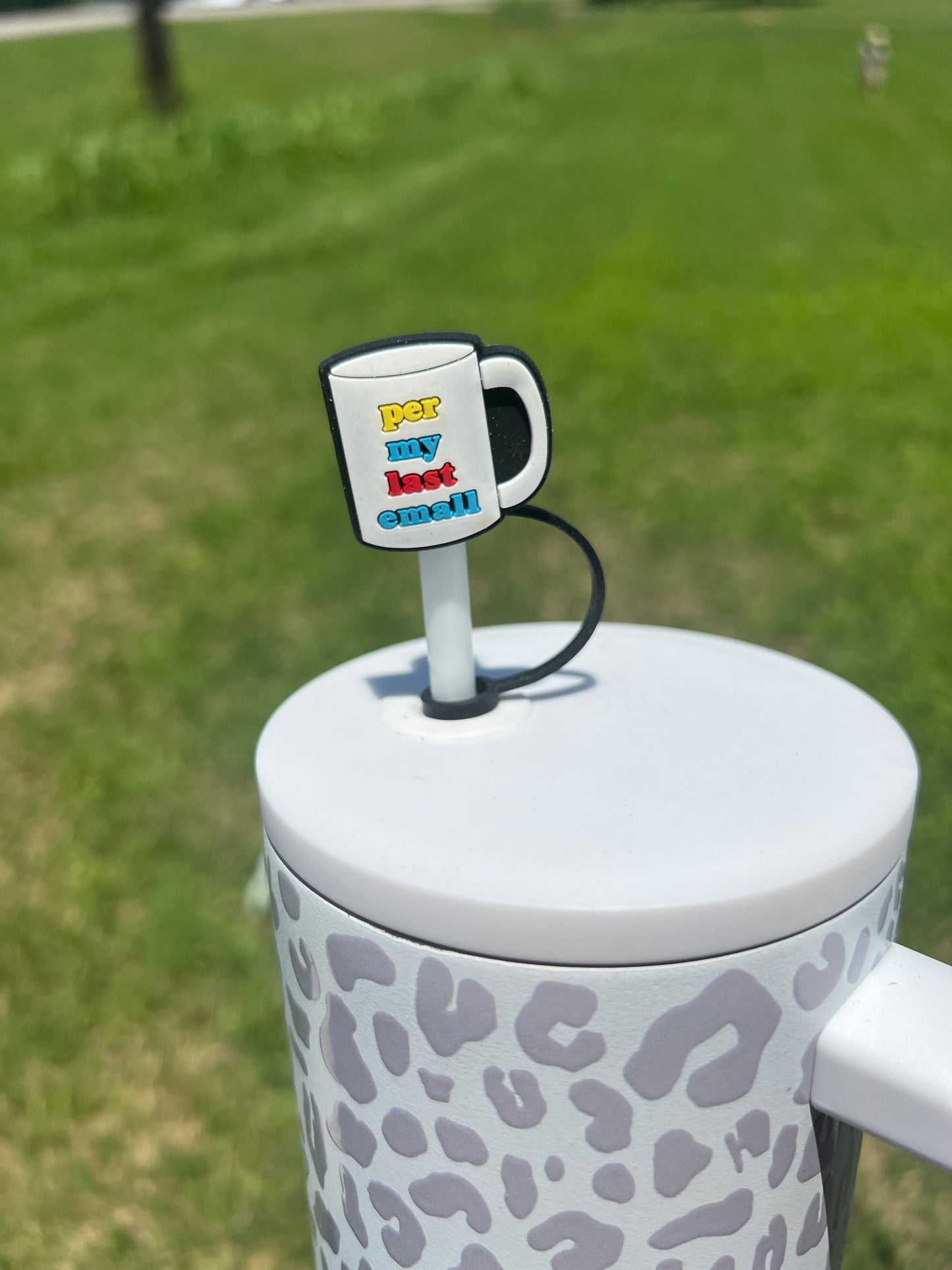 Straw Topper - Per my Last Email