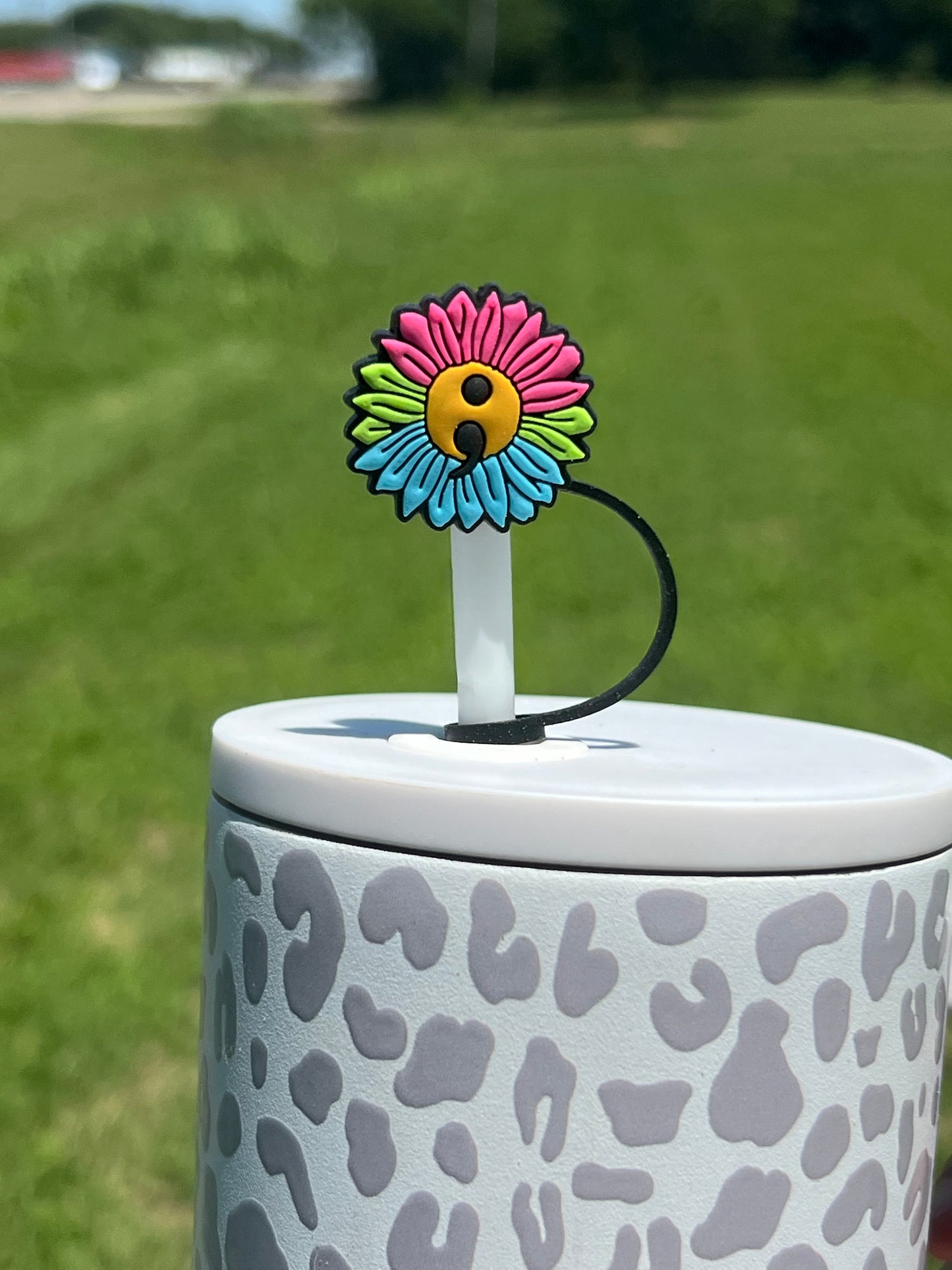 Straw Topper - ; Rainbow