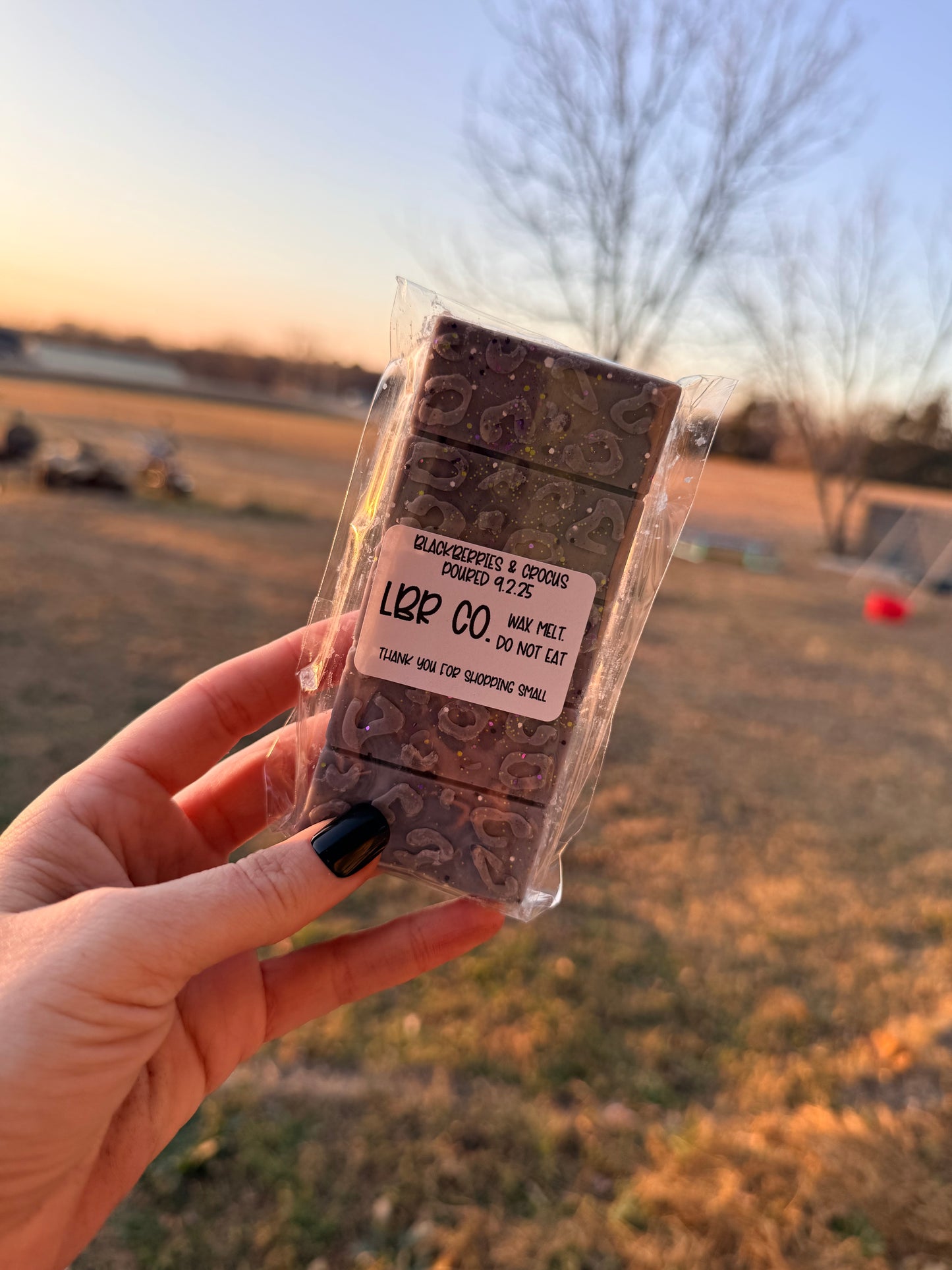 Snap Bar Wax Melts