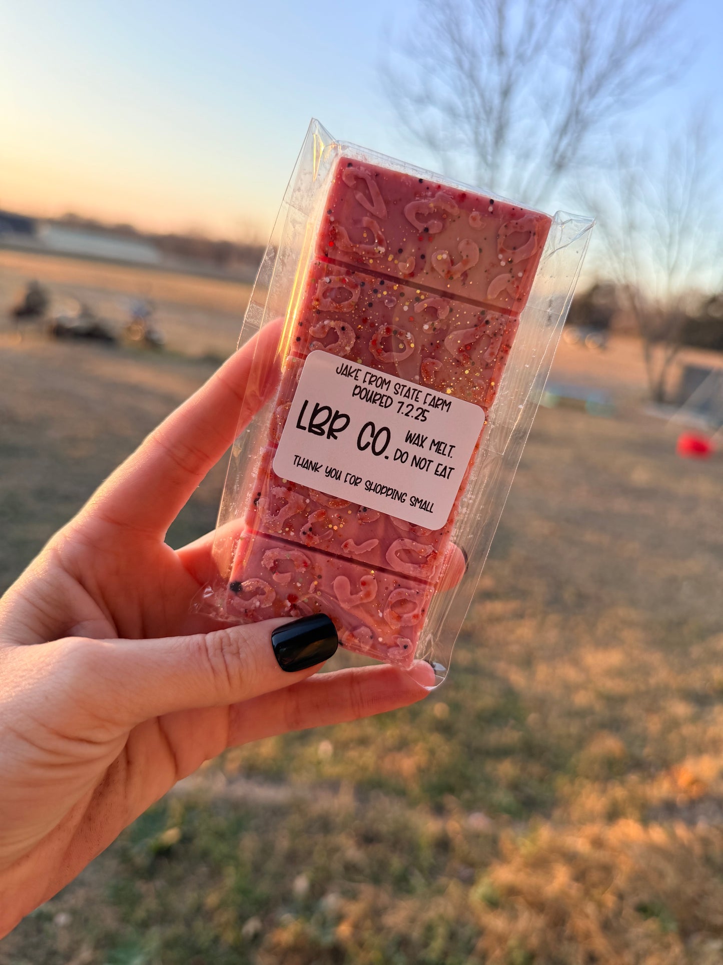 Snap Bar Wax Melts