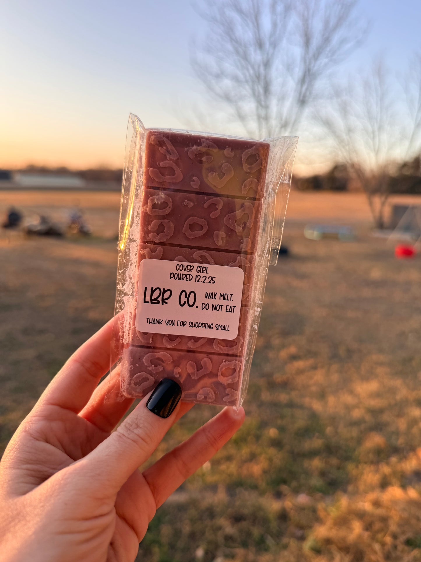 Snap Bar Wax Melts