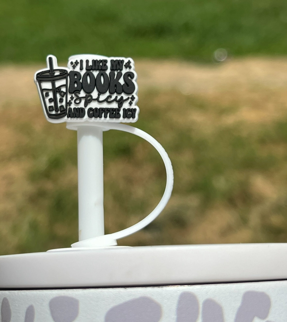 Straw Topper - Books Spicy