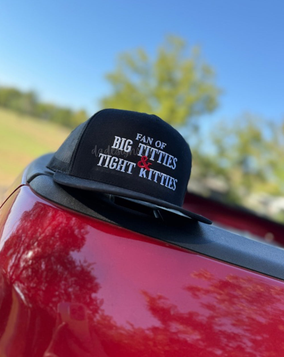 Fan of Big Titties & Tight Kitties Embroidered Snapback Hat