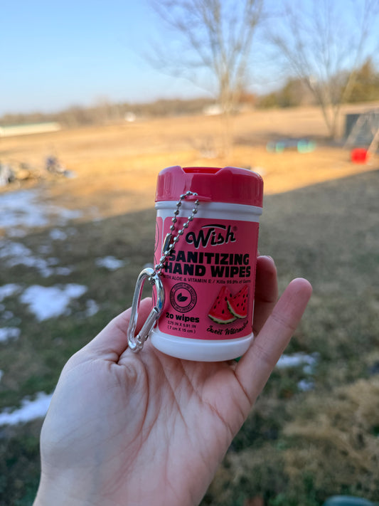 Sanitizing Hand Wipes Keychains