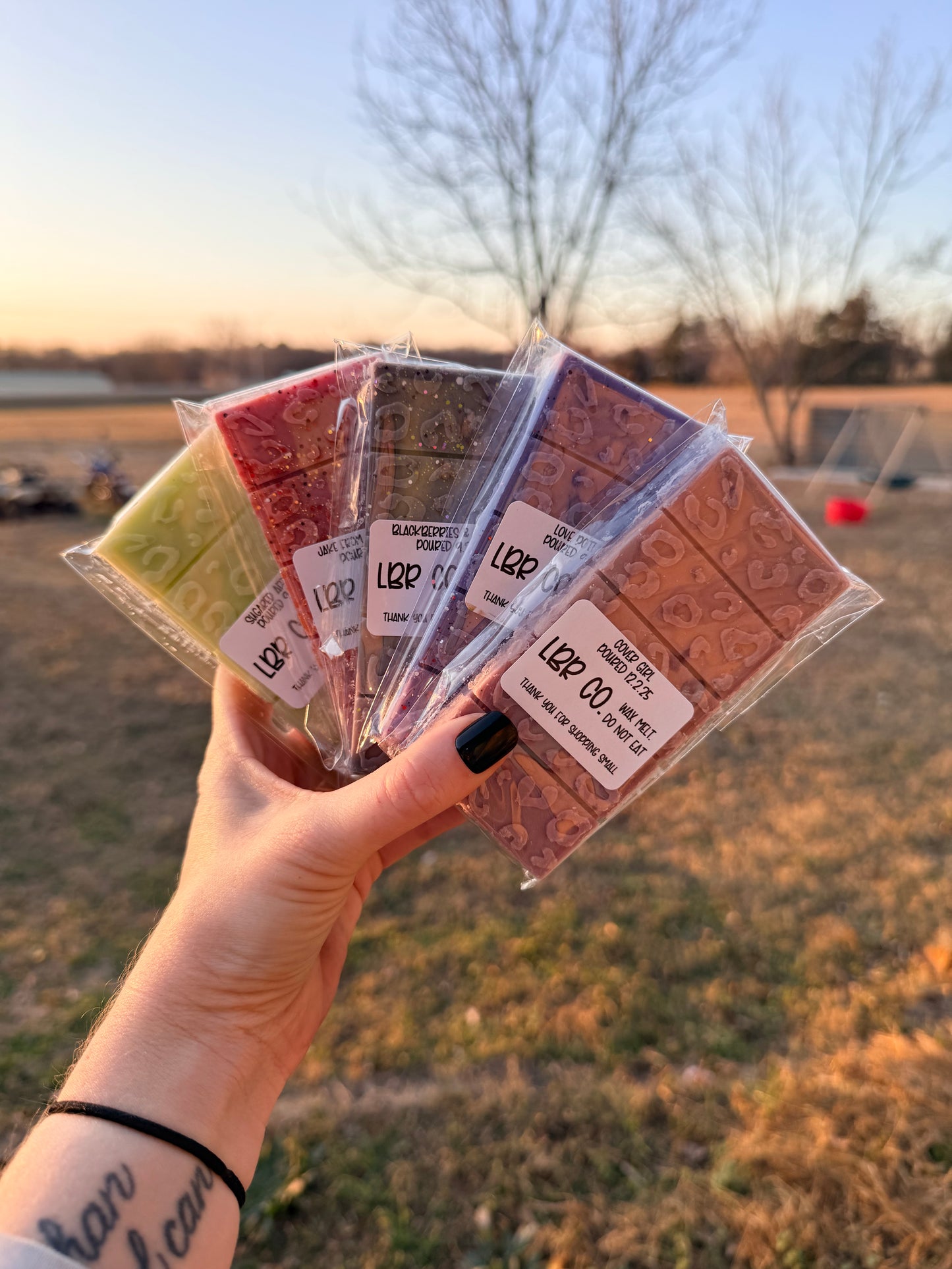 Snap Bar Wax Melts