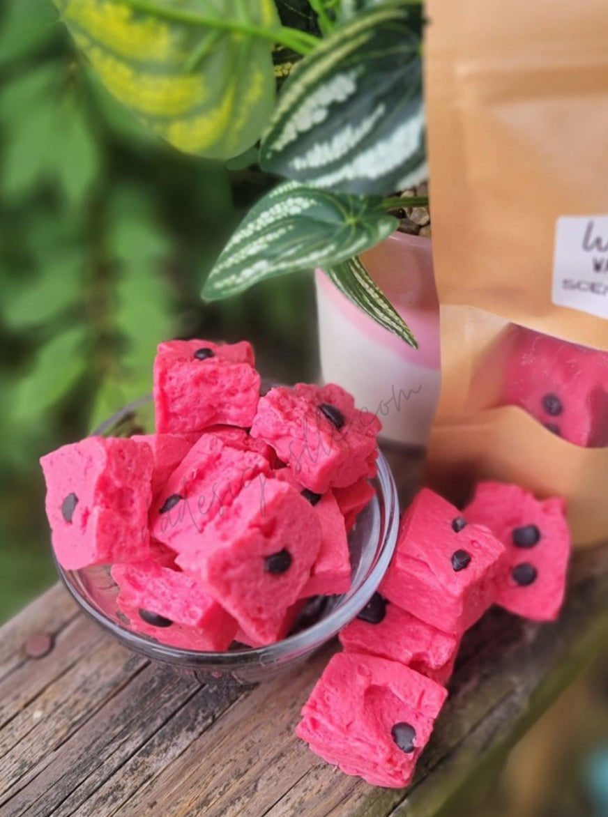 Watermelon Bites Wax Melts - 6 count